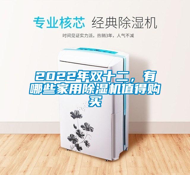 2022年雙十二，有哪些家用除濕機(jī)值得購買