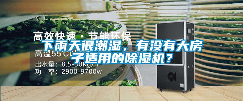 下雨天很潮濕，有沒有大房子適用的除濕機？