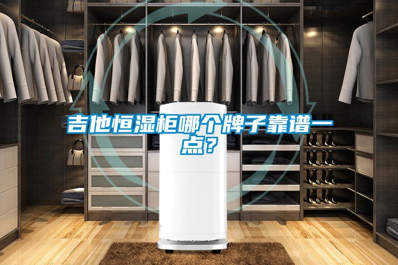 吉他恒濕柜哪個牌子靠譜一點(diǎn)？