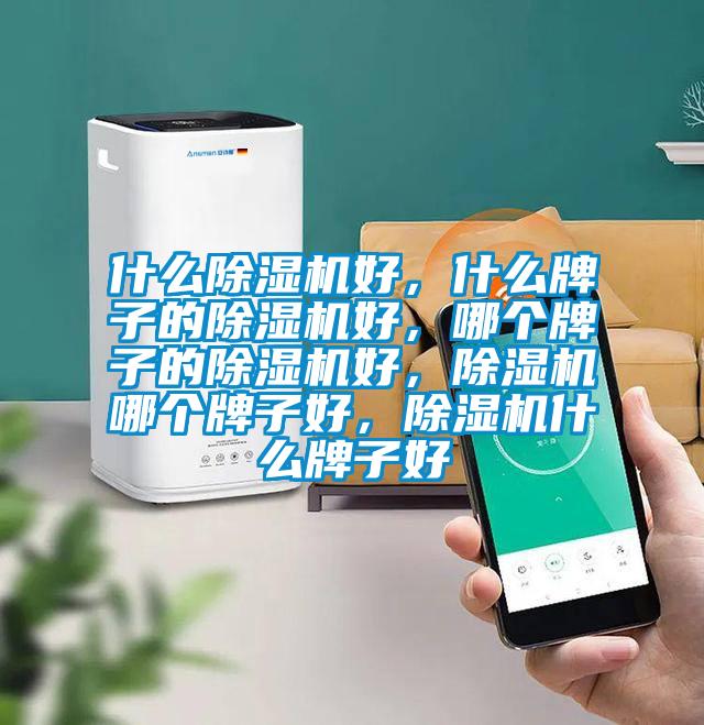 什么除濕機(jī)好，什么牌子的除濕機(jī)好，哪個牌子的除濕機(jī)好，除濕機(jī)哪個牌子好，除濕機(jī)什么牌子好