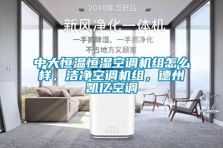 中大恒溫恒濕空調(diào)機(jī)組怎么樣，潔凈空調(diào)機(jī)組，德州凱億空調(diào)