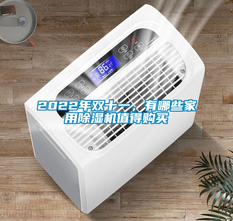 2022年雙十一，有哪些家用除濕機(jī)值得購買