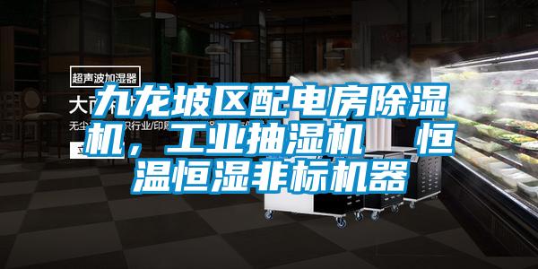 九龍坡區(qū)配電房除濕機(jī)，工業(yè)抽濕機(jī)  恒溫恒濕非標(biāo)機(jī)器