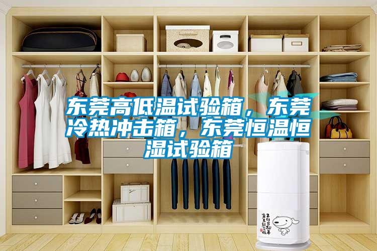 東莞高低溫試驗(yàn)箱，東莞冷熱沖擊箱，東莞恒溫恒濕試驗(yàn)箱