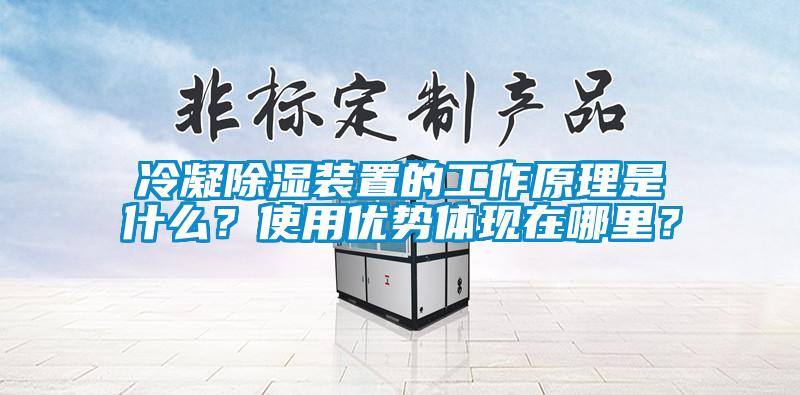 冷凝除濕裝置的工作原理是什么？使用優(yōu)勢體現(xiàn)在哪里？