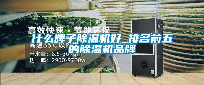 什么牌子除濕機(jī)好_排名前五的除濕機(jī)品牌
