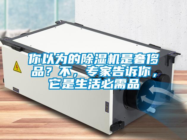 你以為的除濕機是奢侈品？不，專家告訴你，它是生活必需品