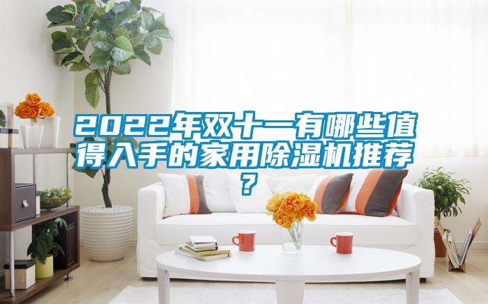 2022年雙十一有哪些值得入手的家用除濕機推薦？