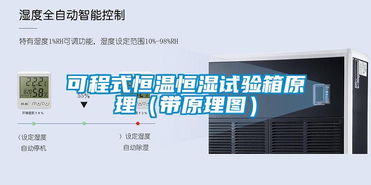 可程式恒溫恒濕試驗(yàn)箱原理（帶原理圖）