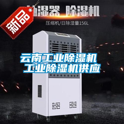 云南工業(yè)除濕機 工業(yè)除濕機供應