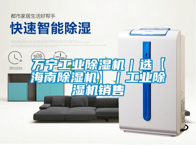 萬(wàn)寧工業(yè)除濕機(jī)｜選【海南除濕機(jī)】｜工業(yè)除濕機(jī)銷售