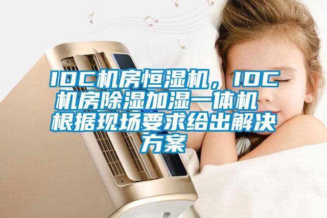 IDC機(jī)房恒濕機(jī)，IDC機(jī)房除濕加濕一體機(jī) 根據(jù)現(xiàn)場要求給出解決方案