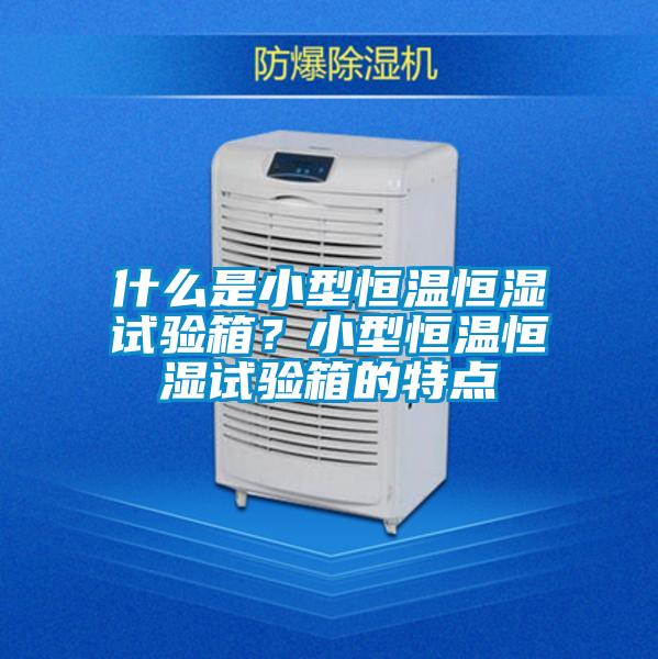 什么是小型恒溫恒濕試驗箱？小型恒溫恒濕試驗箱的特點