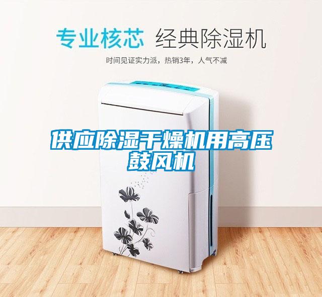 供應(yīng)除濕干燥機用高壓鼓風(fēng)機