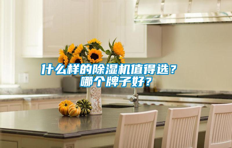什么樣的除濕機(jī)值得選？ 哪個(gè)牌子好？