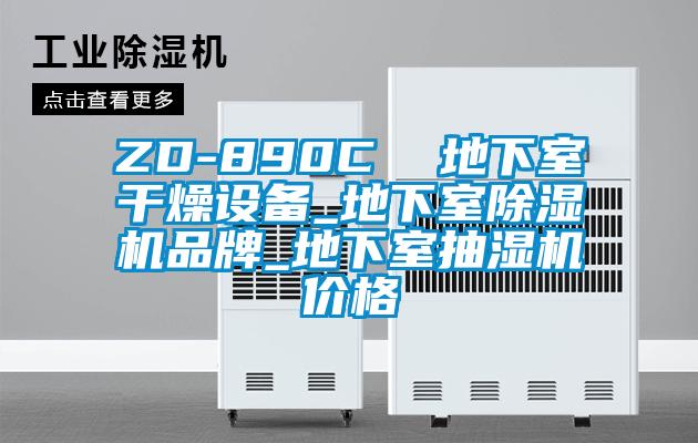 ZD-890C  地下室干燥設(shè)備_地下室除濕機(jī)品牌_地下室抽濕機(jī)價格