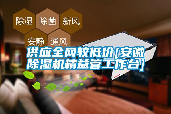 供應(yīng)全網(wǎng)較低價[安徽除濕機(jī)精益管工作臺]