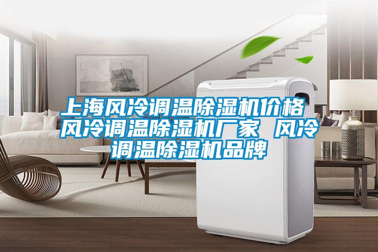上海風(fēng)冷調(diào)溫除濕機價格 風(fēng)冷調(diào)溫除濕機廠家 風(fēng)冷調(diào)溫除濕機品牌