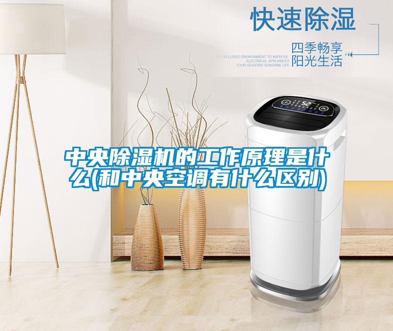 中央除濕機的工作原理是什么(和中央空調(diào)有什么區(qū)別)