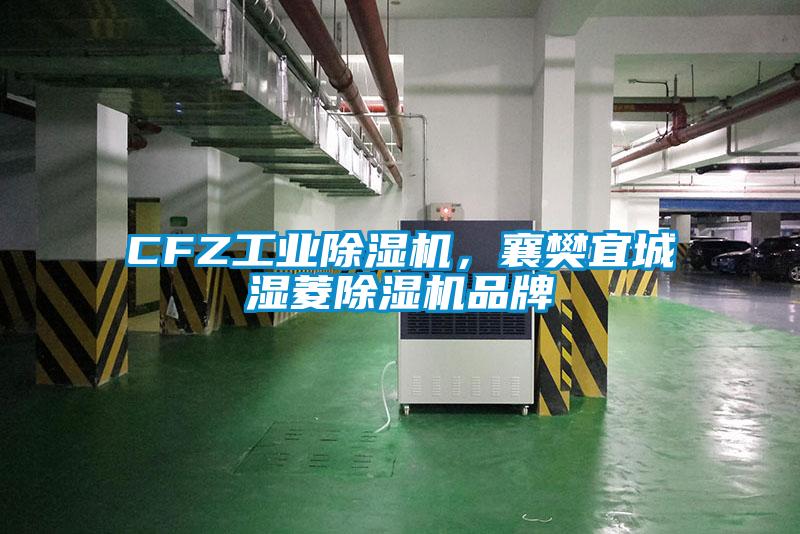 CFZ工業(yè)除濕機(jī)，襄樊宜城濕菱除濕機(jī)品牌