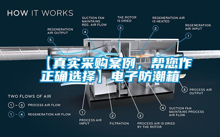 【真實采購案例，幫您作正確選擇】電子防潮箱