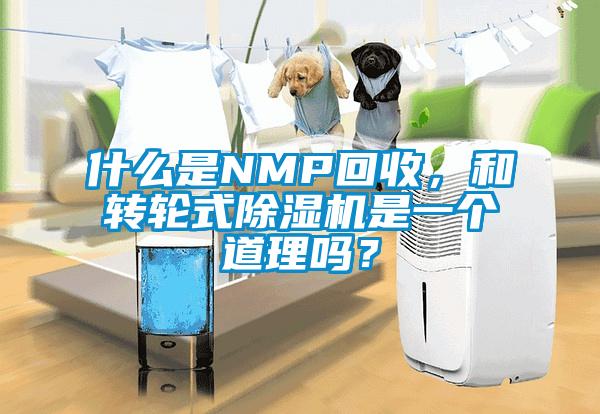 什么是NMP回收，和轉(zhuǎn)輪式除濕機(jī)是一個(gè)道理嗎？