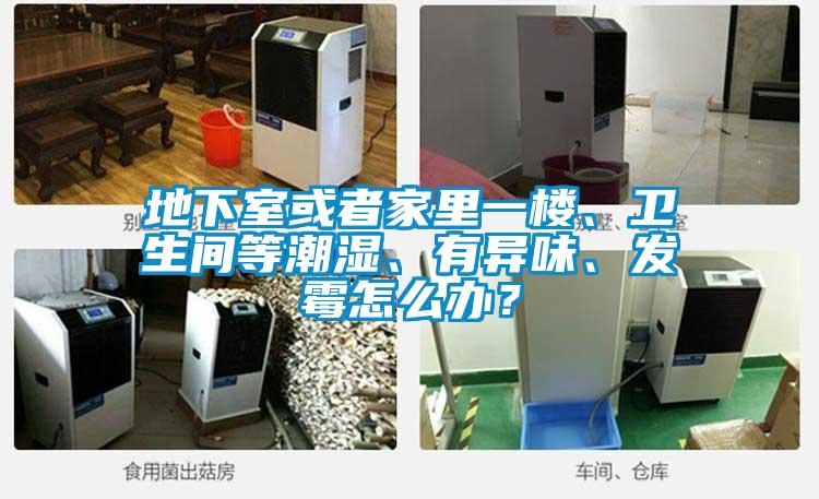 地下室或者家里一樓、衛(wèi)生間等潮濕、有異味、發(fā)霉怎么辦？