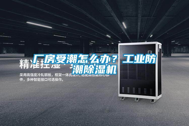 廠房受潮怎么辦？工業(yè)防潮除濕機