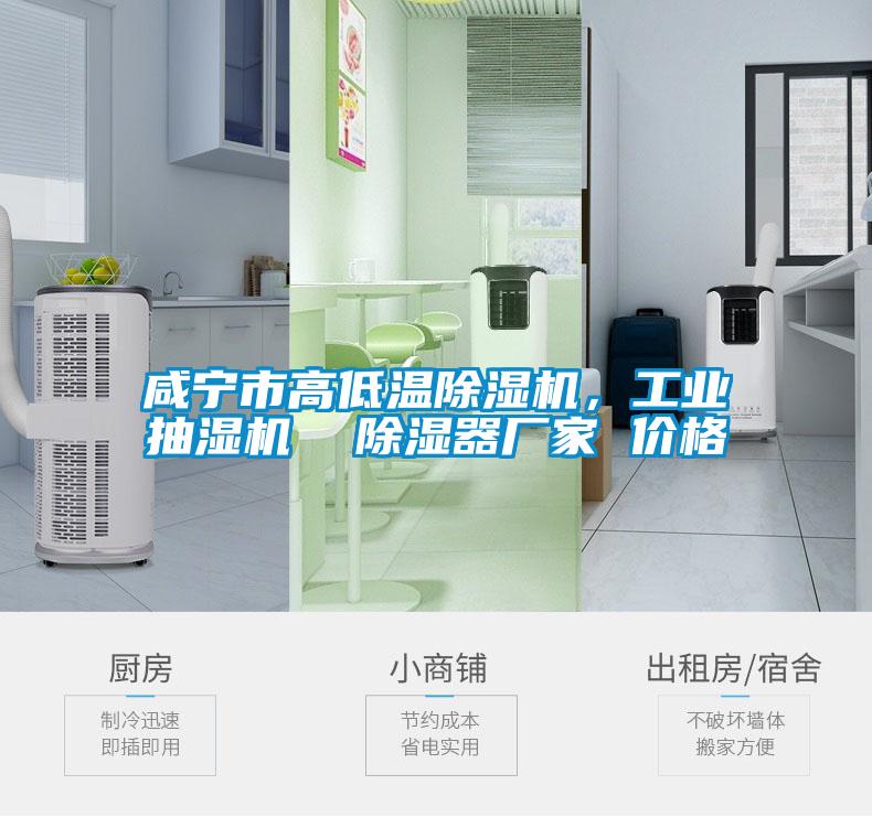 咸寧市高低溫除濕機(jī)，工業(yè)抽濕機(jī)  除濕器廠家 價(jià)格