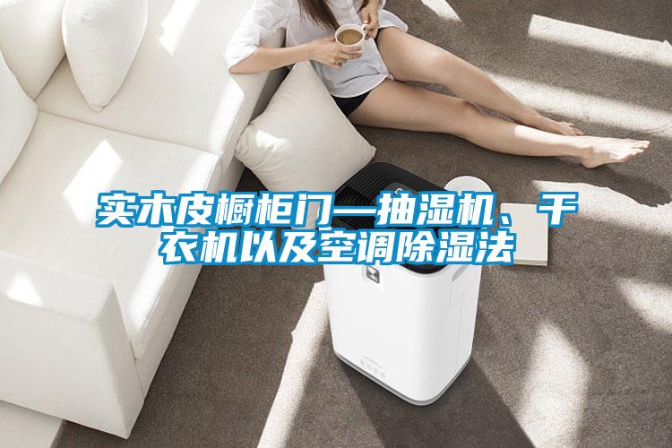 實(shí)木皮櫥柜門—抽濕機(jī)、干衣機(jī)以及空調(diào)除濕法