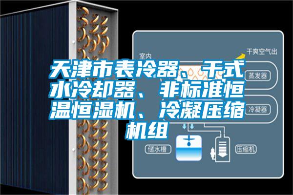 天津市表冷器、干式水冷卻器、非標(biāo)準(zhǔn)恒溫恒濕機(jī)、冷凝壓縮機(jī)組