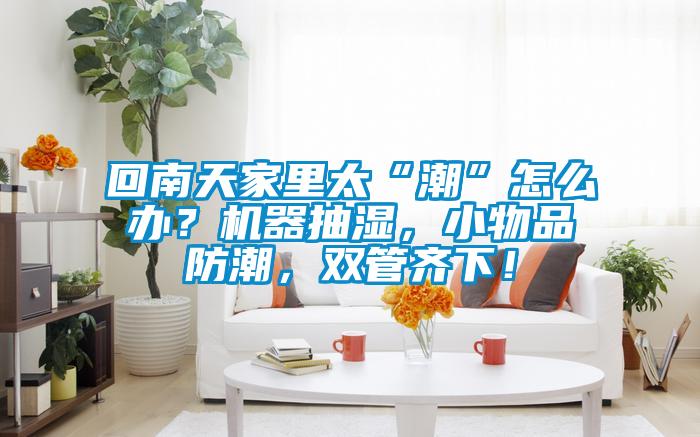 回南天家里太“潮”怎么辦？機(jī)器抽濕，小物品防潮，雙管齊下！