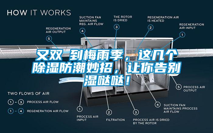 又雙叒到梅雨季，這幾個除濕防潮妙招，讓你告別濕噠噠！