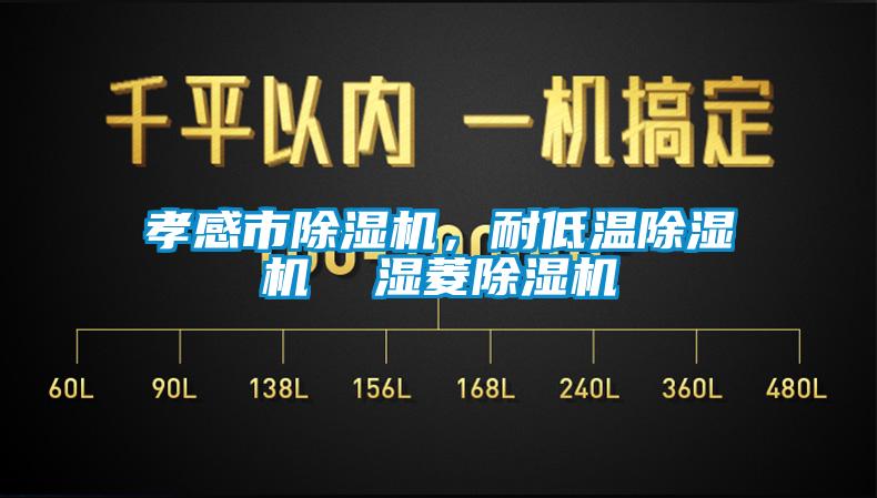 孝感市除濕機，耐低溫除濕機  濕菱除濕機