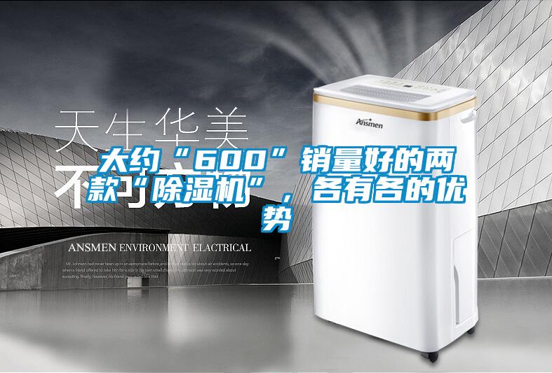 大約“600”銷量好的兩款“除濕機”，各有各的優(yōu)勢