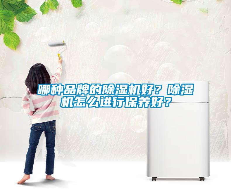 哪種品牌的除濕機好？除濕機怎么進行保養(yǎng)好？