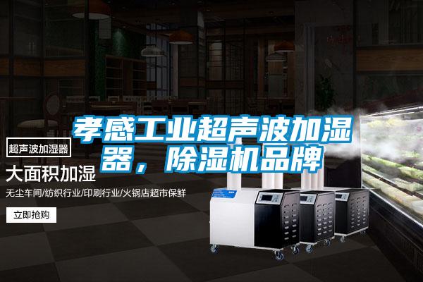 孝感工業(yè)超聲波加濕器，除濕機品牌