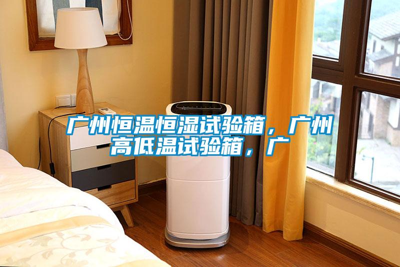 廣州恒溫恒濕試驗(yàn)箱，廣州高低溫試驗(yàn)箱，廣