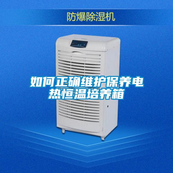 如何正確維護保養(yǎng)電熱恒溫培養(yǎng)箱