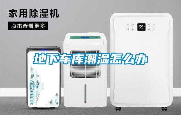 地下車庫(kù)潮濕怎么辦