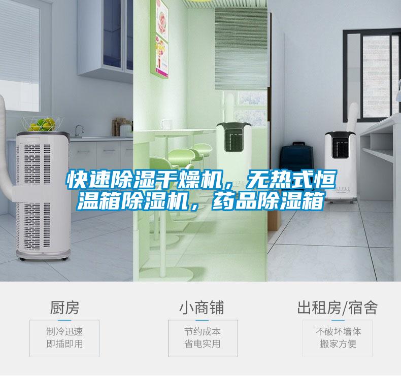快速除濕干燥機(jī)，無(wú)熱式恒溫箱除濕機(jī)，藥品除濕箱