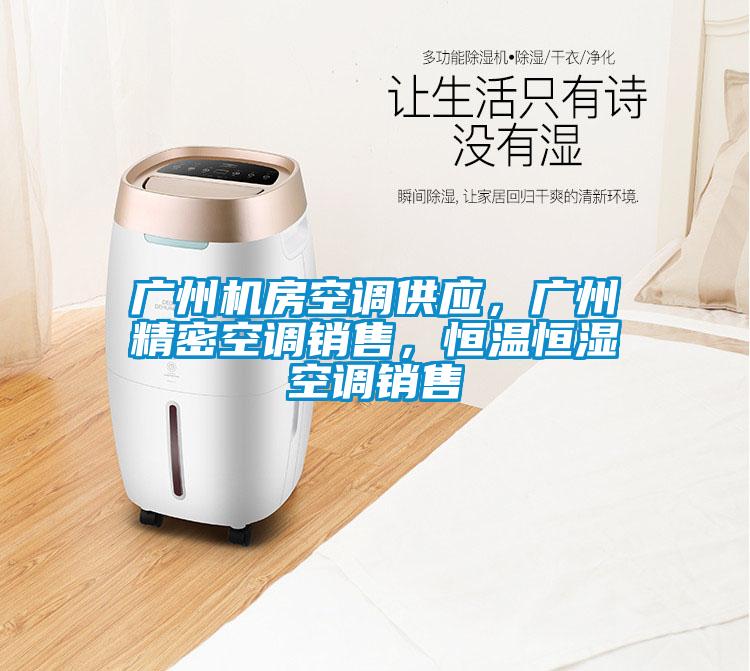 廣州機(jī)房空調(diào)供應(yīng)，廣州精密空調(diào)銷售，恒溫恒濕空調(diào)銷售