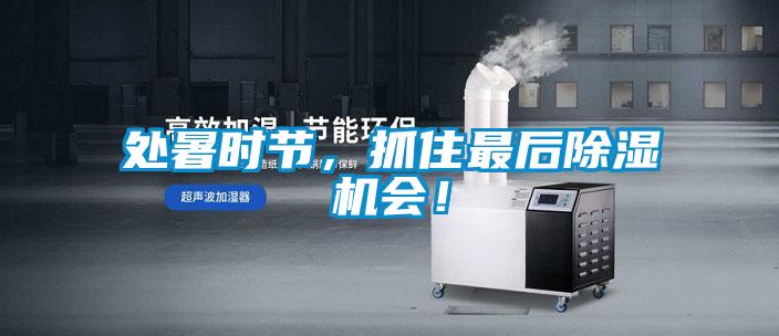 處暑時(shí)節(jié)，抓住最后除濕機(jī)會(huì)！