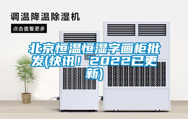 北京恒溫恒濕字畫(huà)柜批發(fā)(快訊！2022已更新)