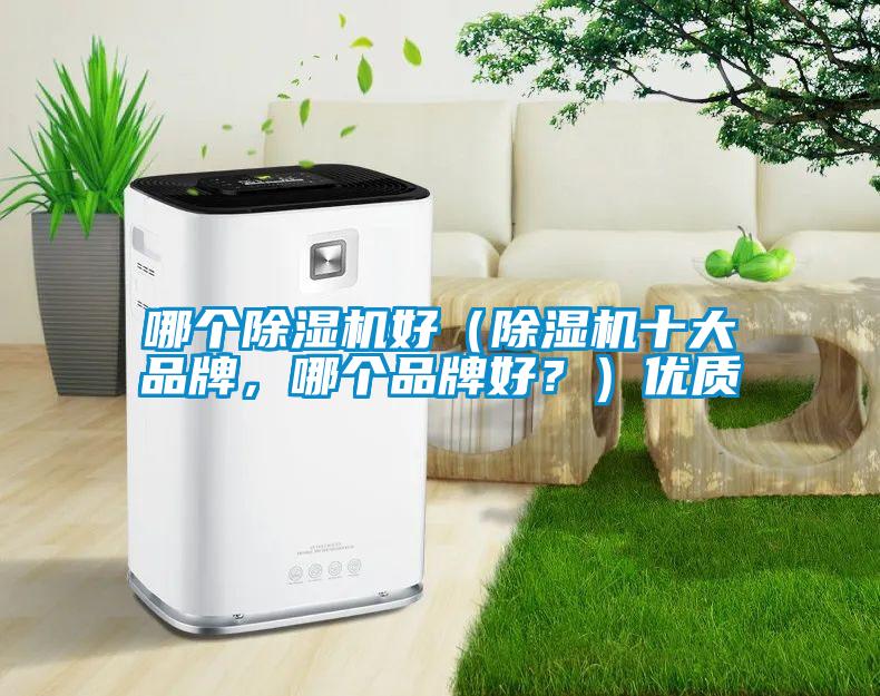 哪個除濕機好（除濕機十大品牌，哪個品牌好？）優(yōu)質