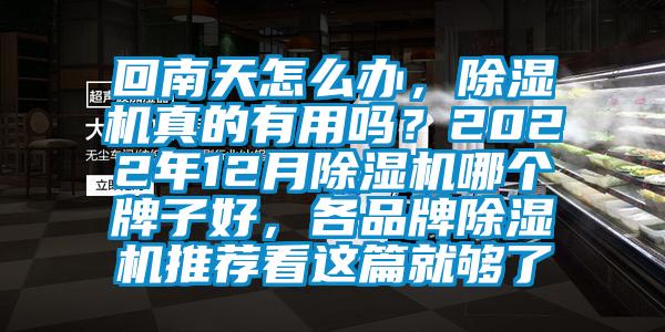 回南天怎么辦，除濕機真的有用嗎？2022年12月除濕機哪個牌子好，各品牌除濕機推薦看這篇就夠了