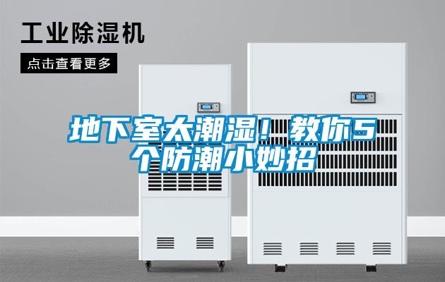地下室太潮濕！教你5個(gè)防潮小妙招