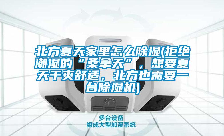 北方夏天家里怎么除濕(拒絕潮濕的“桑拿天”，想要夏天干爽舒適，北方也需要一臺(tái)除濕機(jī))