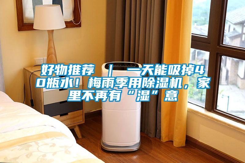 好物推薦 ｜ 一天能吸掉40瓶水！梅雨季用除濕機(jī)，家里不再有“濕”意