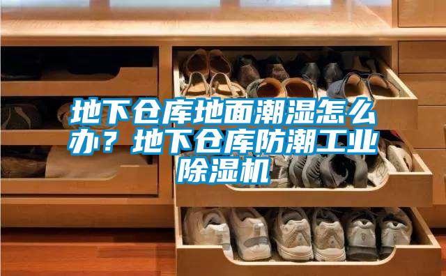 地下倉庫地面潮濕怎么辦？地下倉庫防潮工業(yè)除濕機(jī)